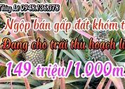 Cao Đẳng Y Tế An Giang Tuyển Sinh