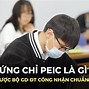 Havico Language School Là Gì Trong Tiếng Anh