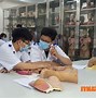 Học Phí Đại Học Nam Cần Thơ Y Khoa