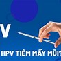 Tiêm Mũi Hpv Từ Bao Nhiêu Tuổi