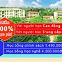 Trường Cao Đẳng Công Nghệ Kinh Tế Công Nghiệp Thái Nguyên